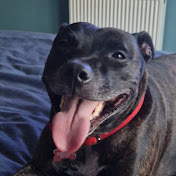 Profile Picture of Stephen Moore (@stephenmoore8944) on Youtube