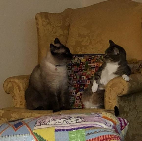 Randi Faris - Poshmark Profile Picture of Randi Faris (@randifaris) on Poshmark