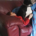 Profile Picture of Joanne Milsom (@milsomjoanne) on Instagram