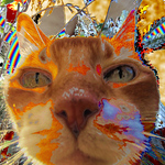 Profile Picture of Fingmeow (@fingmeow) on Flickr