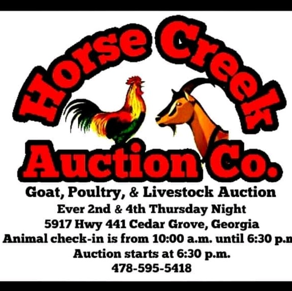 Profile Picture of Daniel Harrelson (@danielharrelson) on Poshmark