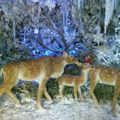 Profile Picture of Gordon Bogle (@Compton1Spencer) on Twitter