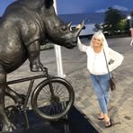 Profile Picture of Denise Brazier (@denise.brazier.54) on Facebook