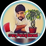 Profile Picture of Pankaj Bansal (@Crazypankajbansal) on Youtube