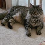 Profile Picture of Laurie Winkler Darrow (@lwdarrow) on Instagram