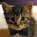 Profile Picture of Alexandra Cramer (@acrame1437) on Pinterest