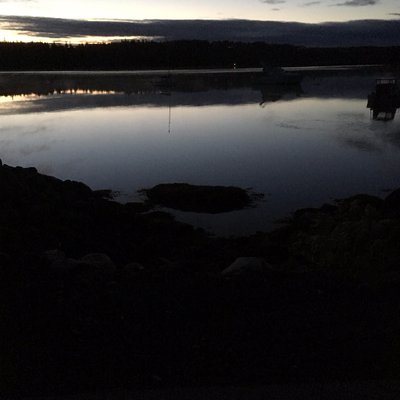 Profile Picture of Sean Teed (@TeedSean) on Twitter