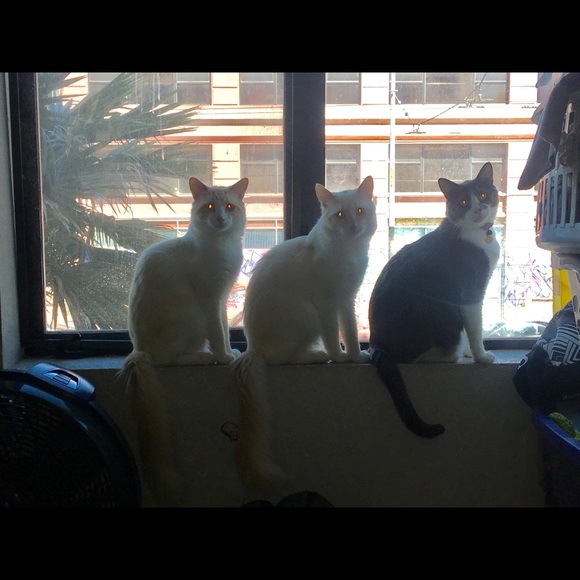 Profile Picture of Gelyn Osias (@glyn02) on Poshmark