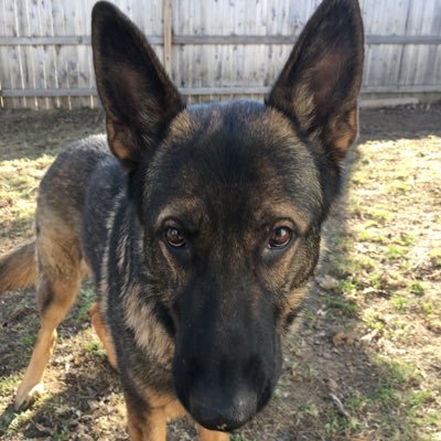 Profile Picture of Greg Pinkham (@PinkhamGreg) on Twitter