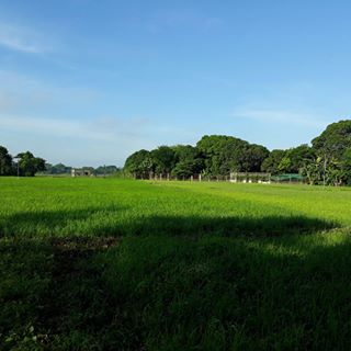 Profile Picture of Loraine Jacinto (@loraine.jacinto.750) on Facebook