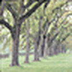 Profile Picture of Vu Khanh Tung Chi (@sancunglin) on Flickr