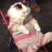 Profile Picture of Serenity Clark (@Serenity-Clark) on Facebook