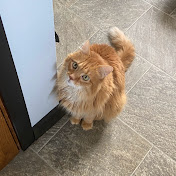 Profile Picture of Piper Fowler (@piperfowler5682) on Youtube