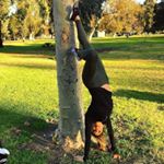 Profile Picture of Clare Muci (@sandyjacobson383) on Instagram