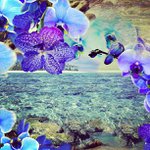 Profile Picture of Steven Tharp (@burntacexcaptain) on Instagram