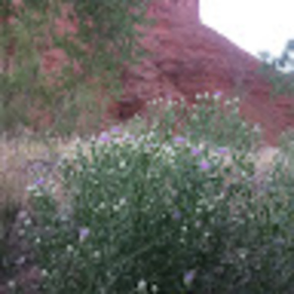 Profile Picture of Jordan Mlsna (@j_mlsna) on Poshmark