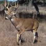 Profile Picture of Jerry Smith (@amber.belknap.142) on Facebook