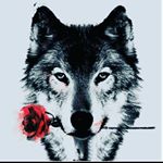 Profile Picture of Andrew Mosby (@a.mosby2002) on Instagram
