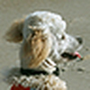 Profile Picture of Marshal Morgan (@bromorg17) on Flickr