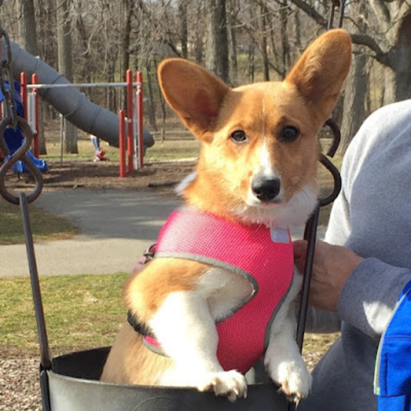 Profile Picture of Mindy Cain (@oldgrannymindy) on Poshmark