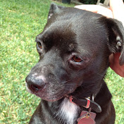 Profile Picture of Kerry Madole (@KerryMadole) on Youtube