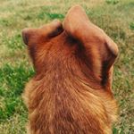 Profile Picture of Matthew Rantala (@mattrant05) on Instagram