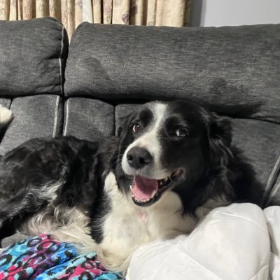 Profile Picture of Jacob Cruce (@JacobCruce) on Twitter