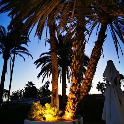 Profile Picture of Marc (@MarcAlthoff) on Twitter