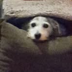 Profile Picture of Gladstone Eric Taylor (@gladstoneeric.taylor) on Facebook