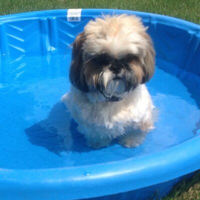 Profile Picture of John Henkel (@henkel_j) on Twitter