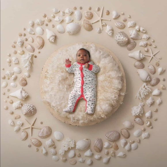 Profile Picture of Bussy Bussy (@bussybulky) on Poshmark