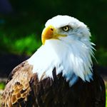 Profile Picture of Jacob Kerns (@kernsjacob) on Instagram