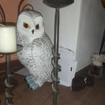 Profile Picture of Patty Liberti (@patty.liberti.98) on Facebook