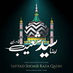 Profile Picture of Syed Shoaib RazaQadri official (@syed_shoaib_miya_bareilysharif) on Instagram