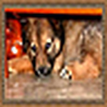 Profile Picture of Scott Bennett (@despac21) on Flickr