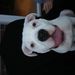Profile Picture of Chris Arendall (@keitharendall) on Pinterest