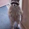 Profile Picture of harry murphy (@@harry_murphy_) on Tiktok
