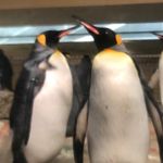 Dora Regen - Instagram Profile Picture of Dora Regen (@dora.regen) on Instagram