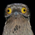 Profile Picture of Joseph Encinas (@that_one_joseph) on Instagram