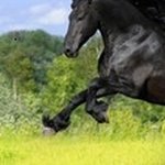 Profile Picture of Марк (@plaksinacap) on Instagram