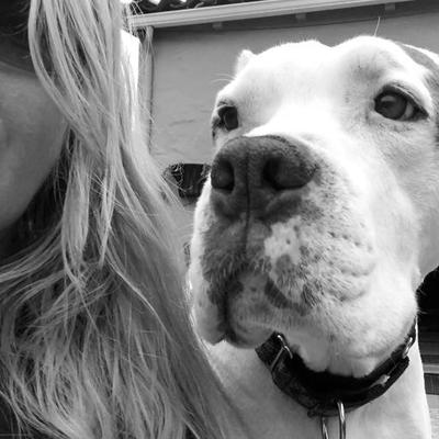 Profile Picture of Faith Hynoski (@RevolutionDog) on Twitter