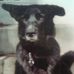 Profile Picture of William Cranmer (@william.cranmer.7) on Facebook