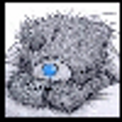 Profile Picture of William Finch (@havenbelw) on Twitter