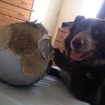 Profile Picture of Chuck Coleman (@coleman.chuck) on Instagram