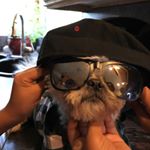 Profile Picture of Jacob Patino (@mega_savage_420) on Instagram