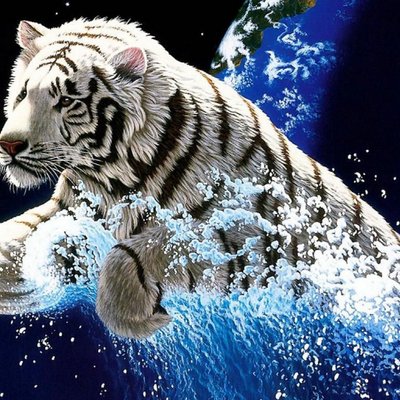 Profile Picture of Mariano Thomas Tevez (@thomas_tevez) on Twitter