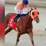 Profile Picture of Mohamed Abdulhadi (@mohamed_albrqawi) on Instagram