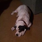 Profile Picture of Rick Nugent (@nugentrick) on Instagram