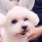 Profile Picture of Josephine tie (@sing_yee.2153) on Instagram