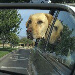 Profile Picture of danschreckengost (@danschreckengost) on Instagram